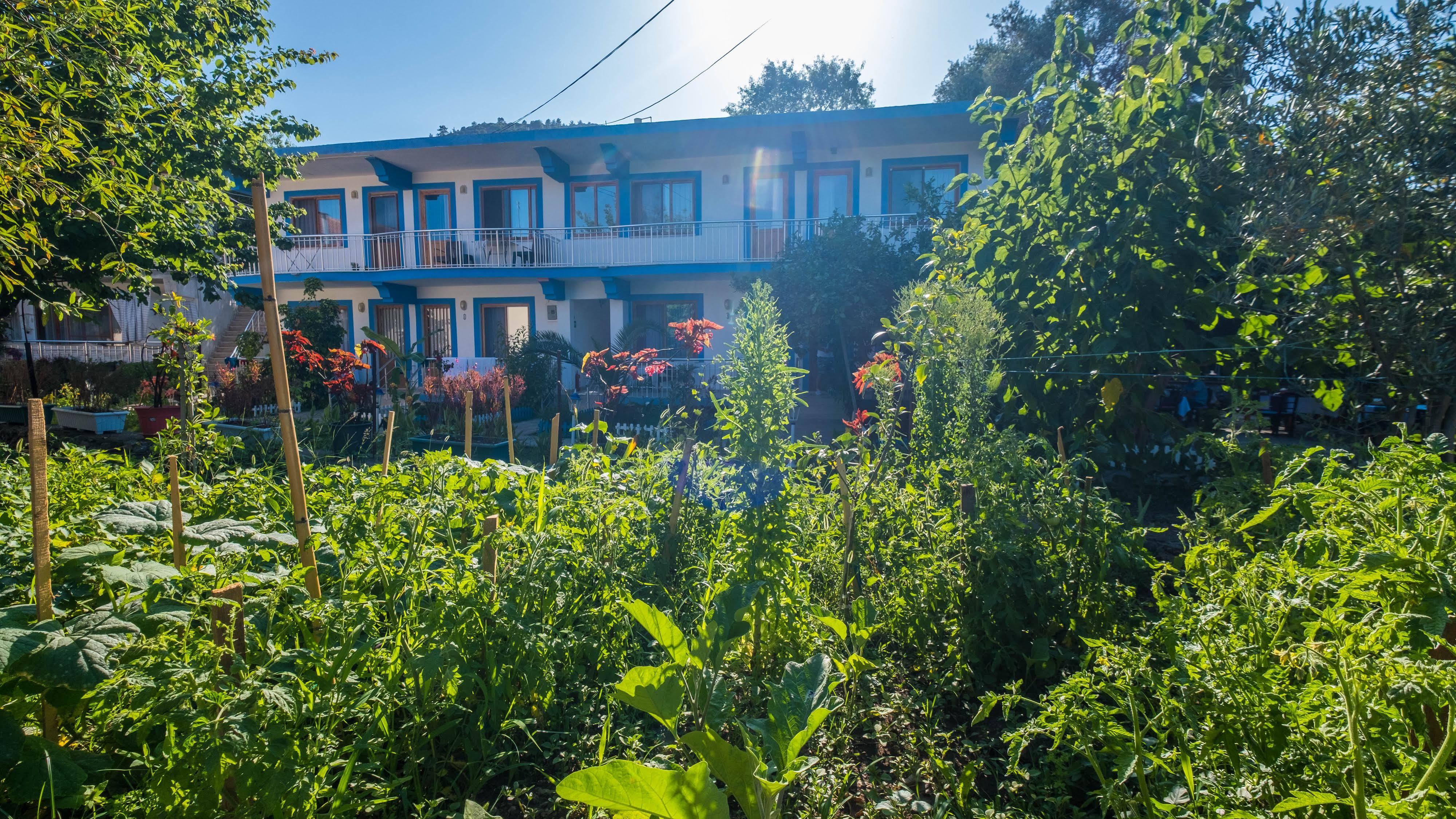 Balalayka Butik Otel Muğla Luaran gambar